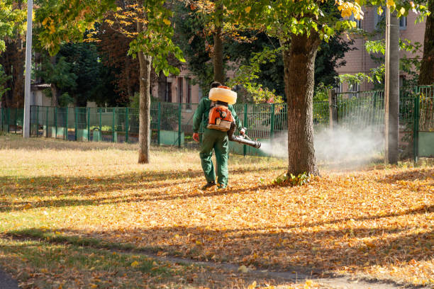 Wasp Removal Services in Fairborn, OH