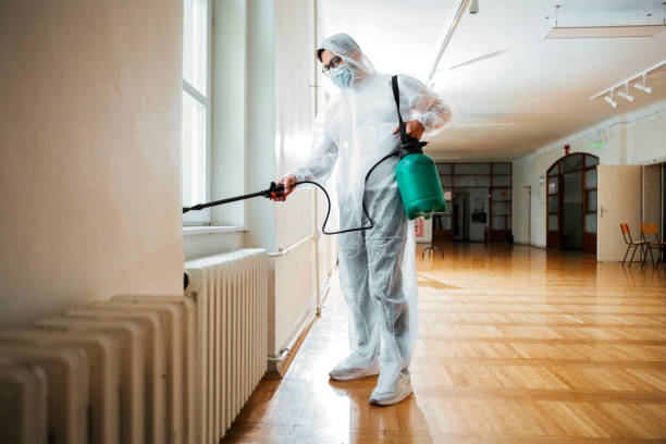 Flea Control Services in Fairborn, OH
