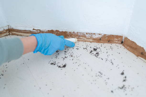Best Best Pest Control Companies  in Fairborn, OH