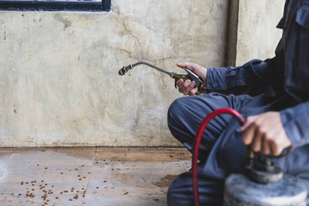 Best Termite Control Services  in Fairborn, OH